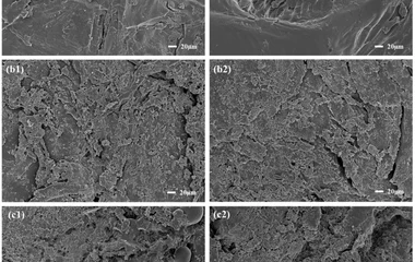 Composite Microbial Solid-State Fermentation Enhances the Fermentation Quality,