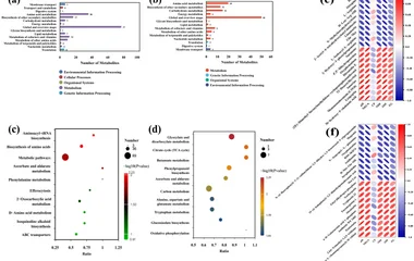 Composite Microbial Solid-State Fermentation Enhances the Fermentation Quality,
