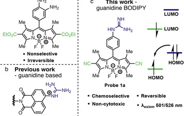 Rational Design of an Electronically Gated Dicyano-BODIPY Platform for Reversibl