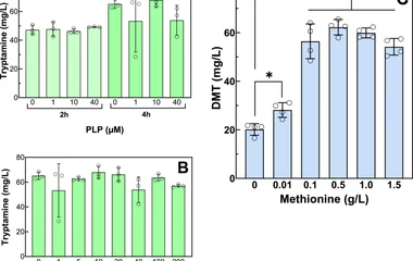 Reconstituting a two-step pathway for N,N-dimethyltryptamine (DMT) biosynthesis