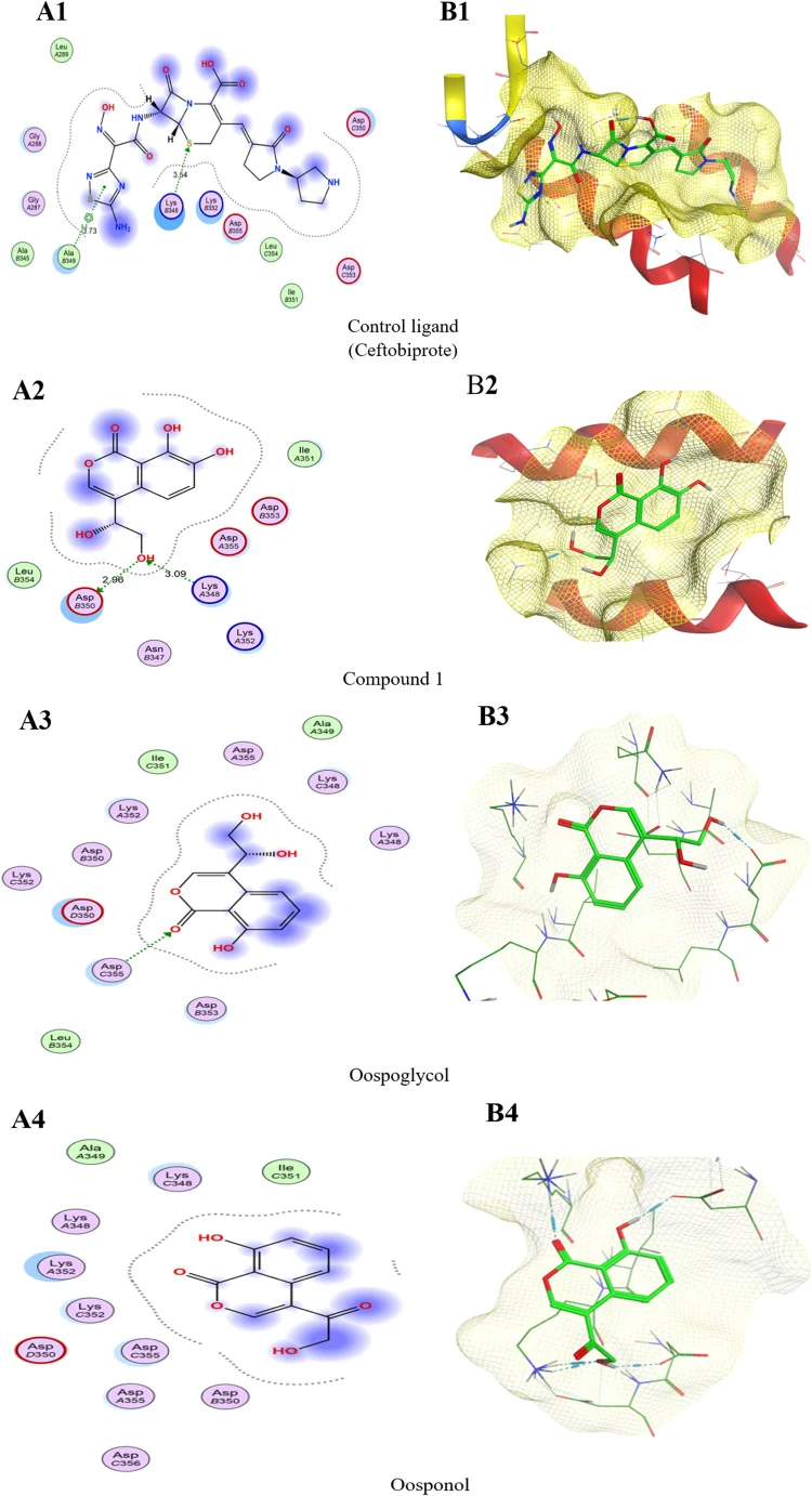 Illustrates the binding orientations and key molecular interactions between native ligand (Ceftobiprole) and candidate compounds with the target protein (UspA1) binding pocket. The left panel (A) shows the two-dimensional (2D) interaction maps, while the right panel (B) presents the corresponding th
