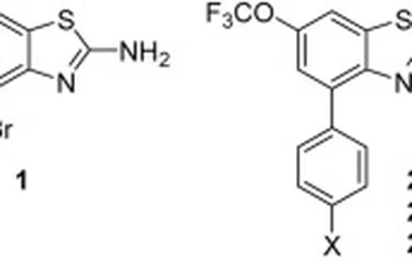力如太衍生物作为钙调蛋白抑制剂