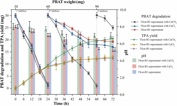 The maximum depolymerization capacity of the Tfcut-B3 fermentation supernatant on PBAT white film (0.008 mm). Tfcut-B3 fermentation supernatant (5.9 mg) was incubated with PBAT white film (0.008 mm) in a 20 mL reaction system (pH 8.0, containing 0.3 M NaCl) at 60 °C and 180 rpm. The experiment inclu