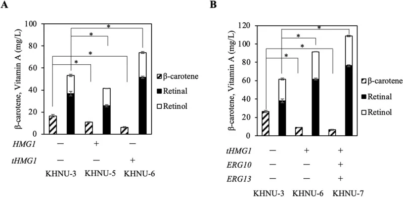 Enhancement of vitamin A production in Lipomyces starkeyi through reinforcement of the MVA pathway. A Effects of overexp