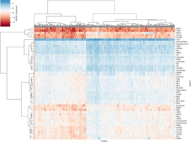 Binding affinities calculated from molecular docking between SLC family proteins and UVF molecules. White tiles indicate the binding affinity of the positive control. The x-axis represents protein file names, and the y-axis represents ligand file names (protein file names and corresponding molecules