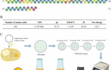 口服重组毕赤酵母CXCL20a抑制草鱼GCRV感染