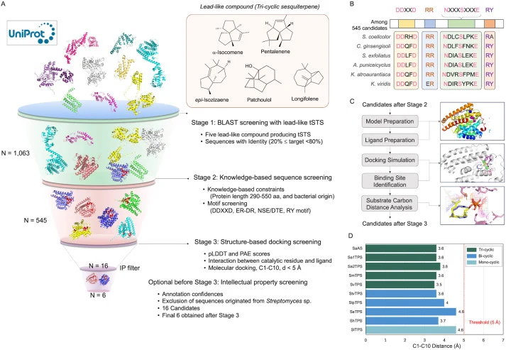 Gene discovery workflow for uncharacterized tricyclic sesquiterpene synthases (tSTS) using multiple screening strategies. (A) Schematic funnel illustrating candidate gene selection through sequential screening stages: (Stage 1) BLAST-based screening using five known lead-like tSTS sequences (origins