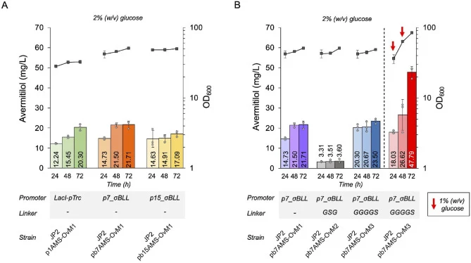 Cultivation of recombinant C. glutamicum strains using different promoters and fusion linkers. (A) Recombinant cells harboring different promoters were cultivated in CgXII medium supplemented with 2% (w/v) glucose in 600 μL deep well plate (DWP). (B) Recombinant cells harboring different linker vari