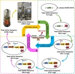 Balancing nitrogen metabolism to efficiently drive anti-tube
