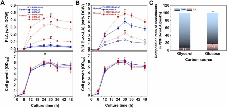 Validation of fusion enzyme performance in PLA and P(3HB-co-LA) biosynthesis. (a) PLA yield (wt% DCW DCW) and growth curves (OD600) of the PLA-producing strains cultivated with 2% (w/v) glycerol (blue) or glucose (red) as the carbon source. Symbols: open square, MGPLA(Ind) (no-linker control); fille