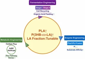 Integrated metabolic and process engineering enables broadly