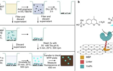 Fluoro4Graphene