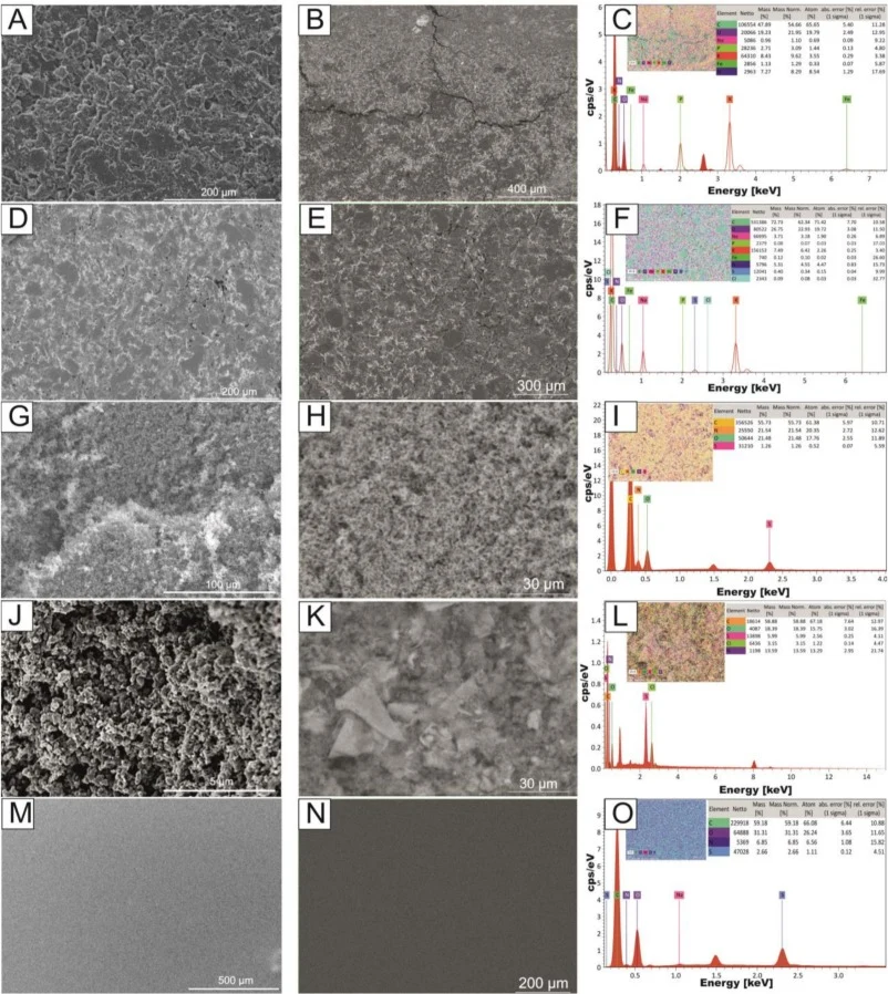 SEM EDX 导电聚合物 (A-C) pNR, (D-F) pTN, (G-I) PPy; (J-L) PANI; (M-O) PEDOT:PSS.