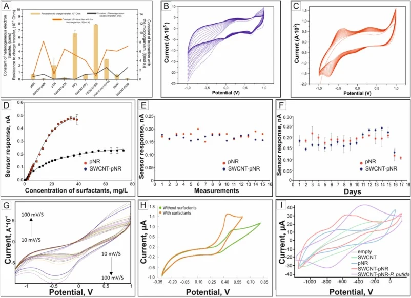 Electrochemical characterization of the fabricated bioelectrochemical sensors. Graphical representation of the charge transfer resistance (Rct), heterogeneous electron transfer rate constant (ks), and interaction rate constant with the microorganism for the studied systems (A); Electropolymerization