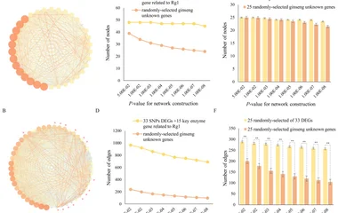 Gene co-expression networks. ( A ) Co-expression network of 33 Candidate Gene III in 344 samples. ( B ) Co-expression ne