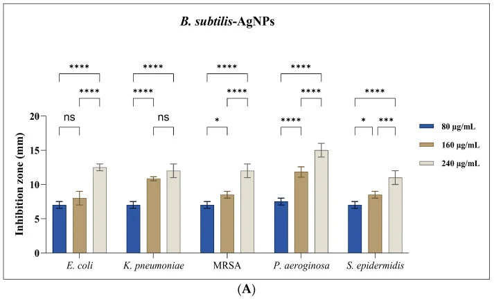 枯草芽孢杆菌-AgNPs 对 MRSA、S. epidermidis、E. coli、K. pneumoniae 和 P. aeruginosa 的抗菌活性。(A) 柱状图显示抑菌圈直径 (mm) ± SD (n = 3)。使用双因素方差分析 (p < 0.05) 后进行 Tukey 检验评估统计学显著性。统计学显著性标示如下:ns,不显著;* p < 0.05;*** p < 0.001;**** p < 0.