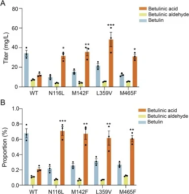 Functional characterization of CYP716A520 mutants. A, titers of betulinic acid, betulin, and betulinic aldehyde in BA4 strains expressing different CYP716A520 WT or mutants after shake-flask fermentation. B, proportion of each product relative to total products. Statistical significance was tested u