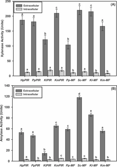 Intracellular and extracellular enzyme activities measured in 72-hour samples. Experiments were done in triplicates. Statistical analysis of the results was performed separately for intracellular and extracellular samples. Different lowercase letters define the significant difference (p < 0.05) betw