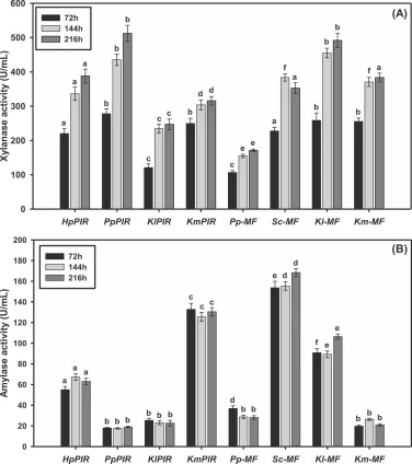 Enzyme activities determined in supernatant samples taken from the 72, 144 and 216th hour of the fermentation. Experiments were done in triplicates. Statistical analysis of the results was performed separately for different time samples. Different lowercase letters define the significant difference