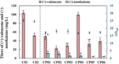 Effect of key enzymes on the titer of ( + )-valencene and ( + )-nootkatone. Left panel: Effect of FPP synthase on (+)-valencene titers, ispA (C01) and Erg20F96W(C02). Right panel: Effect of CYP450 on (+)-nootkatone titers. CP01: strain C01 carrying P450cam F89V,Y98F,L246A; CP02: strain C01 carrying