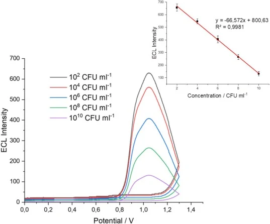 使用MWCNT/M-PAP1/SPE系统对铜绿假单胞菌进行ECL检测，浓度范围为10²–10¹⁰ CFU ml⁻¹，显示线性工作范围，在优化条件下于10 mM PBS（pH 7.4）中、电位范围0至1.3 V、扫描速率60 mV/s下测定。