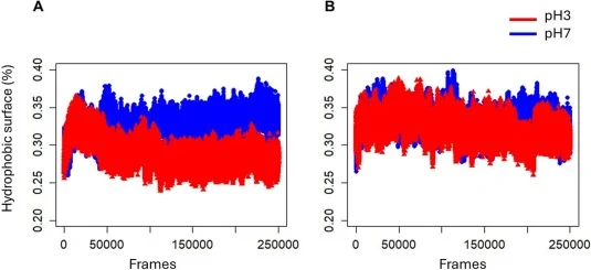 Change in hydrophobic surface percentage during MD simulations of A, rNapin and B, cNapin. The structure with the initial protonation state at pH 3 is shown in red, while pH 7 is shown in blue.
