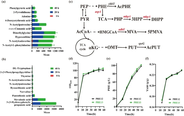 Identification and modification of potential byproduct pathways. The relative means of intracellular (a) and extracellular (b) metabolites of the strain PHE12 in fed-batch fermentation with a 450 t bioreactor. The top 10 intracellular and extracellular metabolites are marked. (c) Identification of p