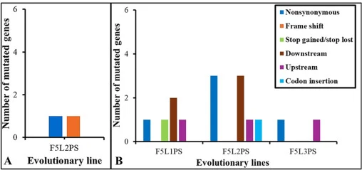 Plastic-specific mutation types across evolutionary lines at two time points. (A) At the onset of 200 mgL-1 PS exposure (T7), only F5L2PS harbored mutations not found in glucose-only controls, one nonsynonymous and one frameshift mutation. (B) By the final transfer (T21), mutation frequency and dive