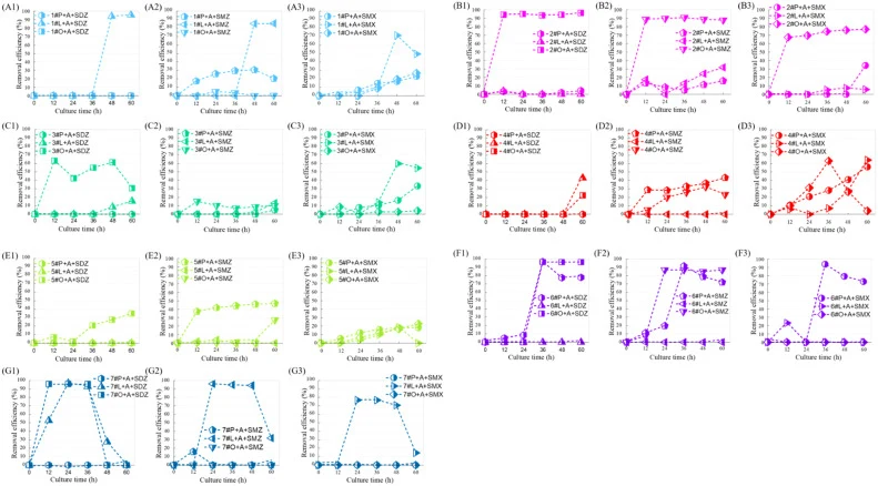 Effect of ABTS (1.0 mM) on removal of sulfonamide antibiotics (1.0 mg/L) by recombinant strains with different signal peptides. (A1), (B1), (C1), (D1), (E1), (F1), (G1): SDZ, sulfadiazine; (A2), (B2), (C2), (D2), (E2), (F2), (G2): SMZ, sulfamethazine; (A3), (B3), (C3), (D3), (E3), (F3), (G3): SMX, s