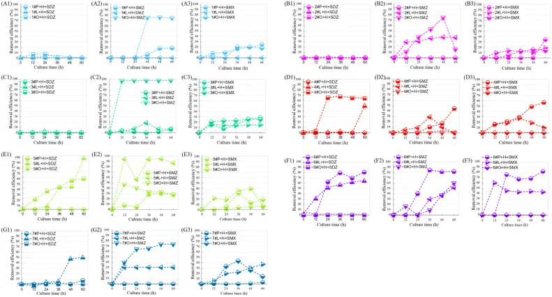 Effect of HBT (1.0 mM) on removal of sulfonamide antibiotics (1.0 mg/L) by recombinant strains with different signal peptides. (A1), (B1), (C1), (D1), (E1), (F1), (G1): SDZ, sulfadiazine; (A2), (B2), (C2), (D2), (E2), (F2), (G2): SMZ, sulfamethazine; (A3), (B3), (C3), (D3), (E3), (F3), (G3): SMX, su