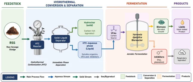 Process modeling framework for the conversion of raw sewage sludge (RSS) into microbial lipids via hydrothermal carbonization (HTC) and Yarrowia lipolytica fermentation. Following HTC, the products are separated into hydrochar and an HTC aqueous phase (HTC-AP). The HTC-AP is subsequently used as the