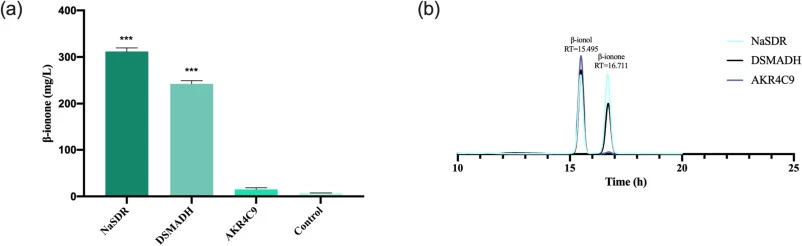 (a) Comparison of β-ionone production yields catalyzed by different alcohol dehydrogenases (ADHs). (b) HPLC chromatograms showing β-ionone generation using various ADH-expressing E. coli strains. Data are presented as mean ± SD (n = 3). One-way ANOVA tests were used for statistical analyses of the d