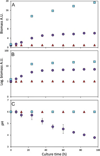 Growth kinetics of P. pastoris GS115-scFv-6009FV in two different culture media. A) Biomass accumulation displayed in A.U., measured by optical density (OD) at 595 nm. B) Logarithmic scale of biomass obtained to determine the growth specific rate (µ). C) Measured pH during growth. BMMY (blue squares