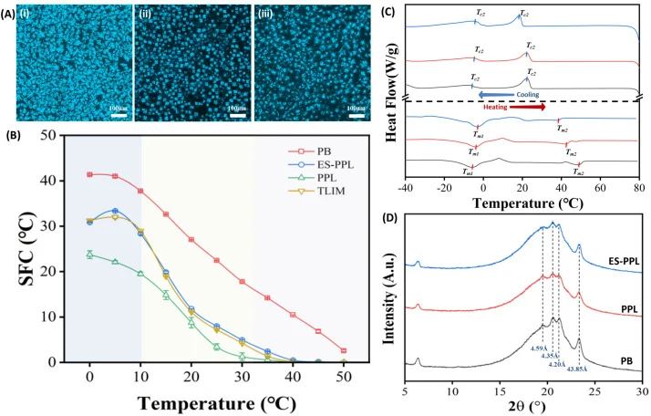 Crystal microstructures (A), thermal behavior (B), and polymorphic forms (C) of physical blend (PB) of high oleic sunflower seed oil and palm stearin, and their interesterified fats catalyzed by free lipase (PPL) and immobilized lipase (ES-PPL). SFC profiles (D) of physical blend (PB) of high oleic