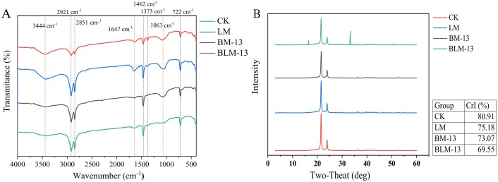 不同降解条件下PE-MPs的FTIR（A）和XRD（B）。