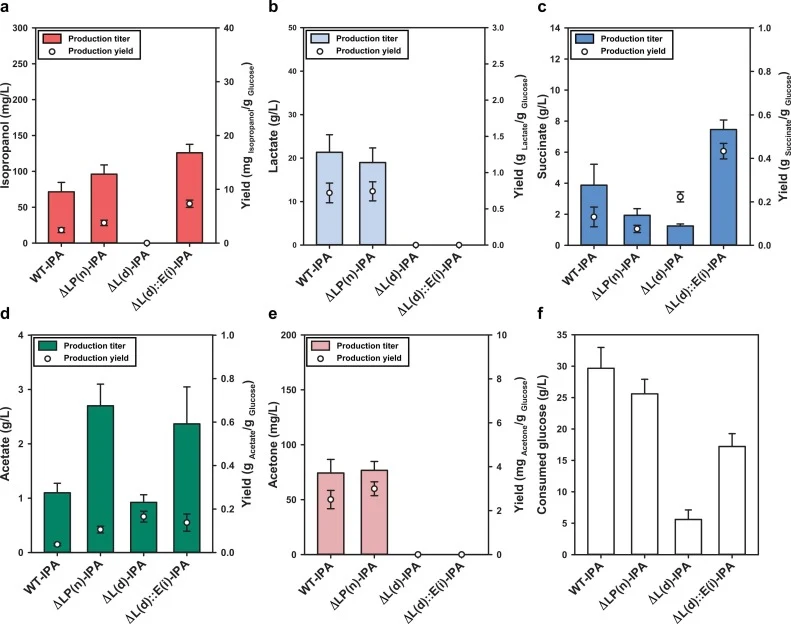 IPA and byproduct production and glucose consumption patterns, regarding the elimination of the l-lactate biosynthesis pathway and the introduction of the glycolysis bypass. The results for each recombinant strain are as follows: (a) IPA production, (b) l-lactate production, (c) succinate production