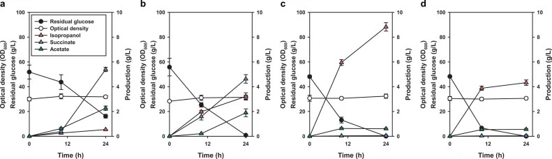ΔLPTAK(d)E(i)-IPA菌株在不同通气量和发酵系统下的高细胞密度发酵结果:(a) 自制小型发酵罐,0.2 vvm;(b) 自制小型发酵罐,1.0 vvm;(c) 配置良好的1.5-L发酵罐,1.0 vvm;(d) 1.5-L发酵罐,2.0 vvm。