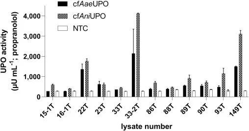 Activity of cell-free prepared AaeUPO and AniUPO with selected lysates from Neurospora crassa. The 20-μL linked reactions with 0.75 µL unpurified mRNA directly from the transcription mix were incubated at 18 °C for 24 h. UPO activity was assessed by measuring the conversion of propranolol to OH-prop