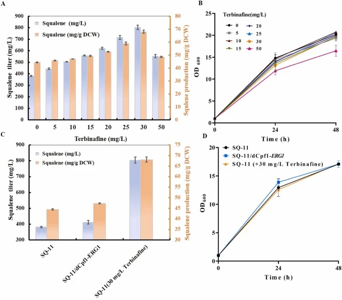 Effects of terbinafine on producing squalene by the engineered strain SQ-11. (A) Yield of engineered strain SQ-11 at various terbinafine concentrations. (B) Cell growth curves. (C) Comparison between down-regulation of gene ERG1 using the CRISPR-dcpf1 system and selective inhibition of gene ERG1 by