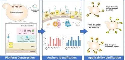 CEN-Display: Construction and optimization of a surface disp