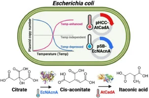 Exploring temperature-mediated plasmid replication as a reve