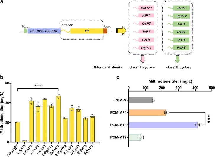 Optimization of the prenyltransferase in the artificial multifunctional enzyme. a Selection of different prenyltransferase domains for constructing the modules of miltiradiene synthesis. b Effect of different multifunctional enzymes constructed for the synthesis of miltiradiene. c Improved productio