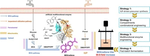 Construction of isopentenol utilization pathway and artifici