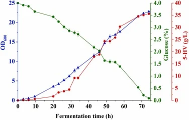 大肠杆菌5HV9在10 L发酵罐中5-HV发酵的时间曲线。(数值以生物学三次重复的平均值和标准差表示)