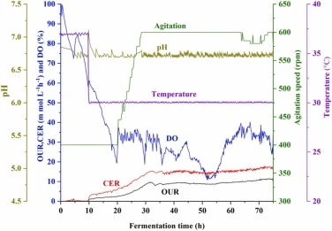 Time course of online fermentation parameters in a 10 L fermenter.