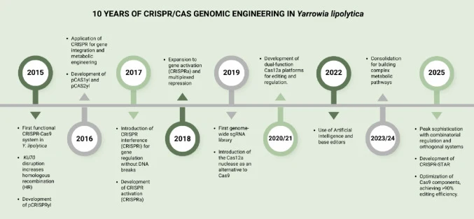 10 years of CRISPR/Cas genomic engineering in Y. lipolytica .