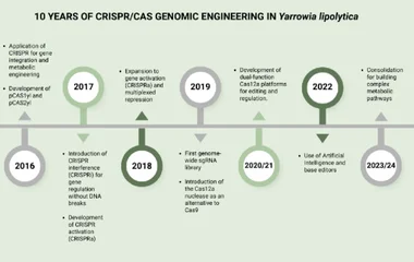 CRISPR十年：解脂耶氏酵母基因工程从瓶颈到平台化