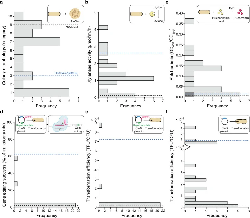 Phenotypic variability was tested across the 23 most genetically diverse strains from the QTL population (Supplementary Fig. 3 and Supplementary Data 4 ) for a variety of traits. a Distribution of colony morphology phenotypes under biofilm-promoting conditions. A histogram summarizing colony morphol