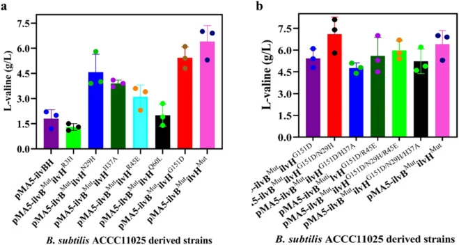 Flask cultivation of different B. subtilis strains with overexpression of wild-type AHAS and its variants. (a) The effect of IlvH with single mutation on L-valine production in strain ACCC11025. (d-f) The effect of IlvH with iterative mutation on L-valine production in strain ACCC11025. Each data po