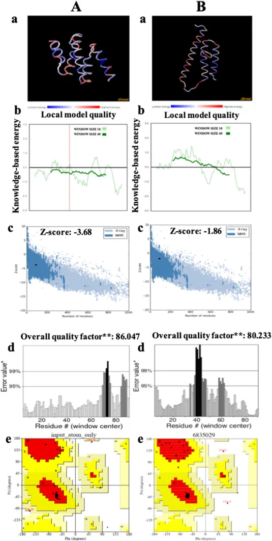 Protein validation of Model-50 and Model-51. A. Protein Model-50 B. Protein Model-51. a. Images are taken from ProSA-web. b. Overall model quality. c. Z-score, highlighted as a black dot is displayed in a plot that contains Z-scores of all experimentally determined structures in the PDB. d. The over